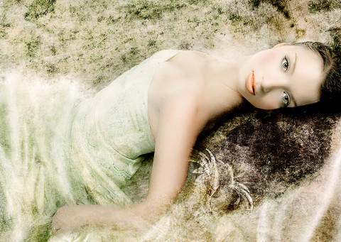 lady of the lake,trash the prom dress,high school senior portrait,mixed media fine art print,chapters photography