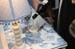 brien_watts 106