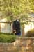brien_watts 226