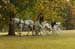 brien_watts 268