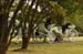brien_watts 269