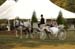 brien_watts 324