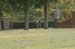 brien_watts 346
