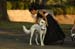 brien_watts 353
