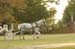 brien_watts 364