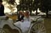 brien_watts 374