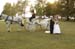 brien_watts 379