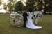 brien_watts 444