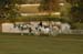 brien_watts 462