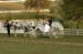 brien_watts 467