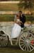 brien_watts 469