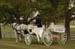 brien_watts 487