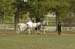 brien_watts 489