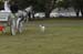 brien_watts 533