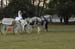 brien_watts 534