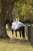 brien_watts 883