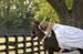 brien_watts 887