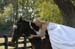 brien_watts 892