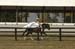 brien_watts 914