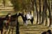 brien_watts 945